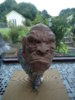 DSC01553.JPG