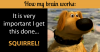 Squirrel-SM.png