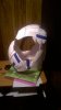 WP_20160324_23_46_27_Pro.jpg