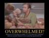 star-trek-tribble.jpg star-trek-tribble.jpg