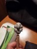 20160408_215114.jpg