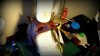 DSC00226.jpg