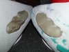 20160412_143333.jpg