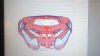 WP_20160419_02_46_51_Pro.jpg