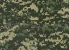 JungleDigiCam.jpg