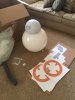 BB-8.JPG BB-8.JPG