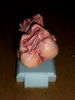DSCN5888.JPG