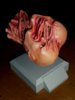 DSCN5889.JPG