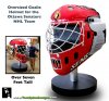 Theme-Prop-Hockey-Helmet-3.jpg