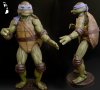 Ninja-Turtle-Restoration-After2.jpg