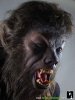 Wolfman-2010-Werewolf-Movie-Costume-Lifesize-Bust-Sculpture-3_1.JPG