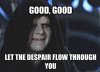 palpatinable despair.jpg