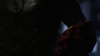 vlcsnap-2016-05-04-11h10m47s324.png