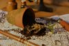 Herbology 1.jpg Herbology 1.jpg