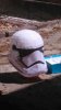 IMG-20160313-WA0000.jpeg IMG-20160313-WA0000.jpeg
