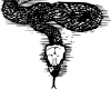 SnakeLines.png