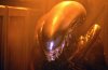 alien3gotitgoin.jpg