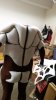 20160508_210602.jpg