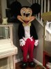 Mickey 1.JPG Mickey 1.JPG