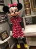 Minnie 1.JPG Minnie 1.JPG