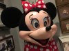 Minnie 2.JPG Minnie 2.JPG