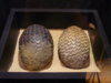 eggs004.jpg