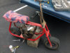 MiniBike.JPG