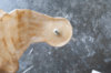 DSC_6729.jpg