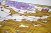 Map_006.JPG