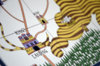 Map_008.JPG