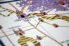 Map_011.JPG