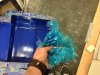 2016-05-04 11.26.23.jpg