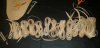 overlay_strands.jpg