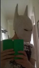 mask_made.PNG