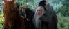 Gandalf-the-Grey-Fellowship-of-the-Ring-gandalf-35160602-500-211.jpg
