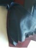 shoulder10.jpg