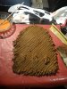 DSC05851.JPG