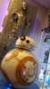 20160605_115901.jpg