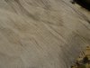 DSC06691.JPG