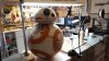 20160529_190520.jpg