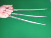 JIMMY CLAWS Wolverine Claw X-Men Splay Claw - Extremely Rare and Authentic05.jpg