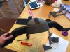 how-to-train-your-dragon---rough-nut-helmet_28541360525_o.jpg how-to-train-your-dragon---rough-nut-helmet_28541360525_o.jpg