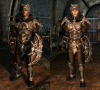 Nordic_Carved_Armor_-_Both.png