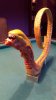 20160728_210318.jpg