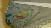 Capture2.PNG