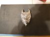 DSCN0423.JPG