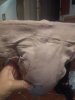codpiece1.jpg