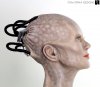 star-trek-borg-queen-head-statue-2.jpg