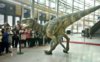 large_T-Rex-453.jpg