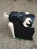 DSC03365.JPG